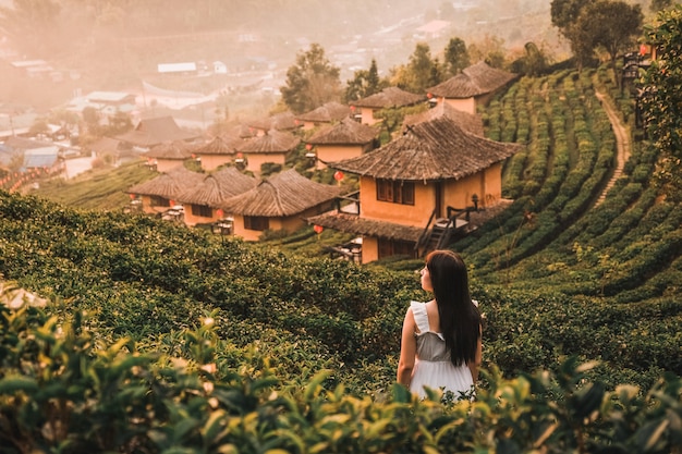 Sunrise at Lee wine Rak Thai, Chinese settlement, Mae Hong Son, Thailand