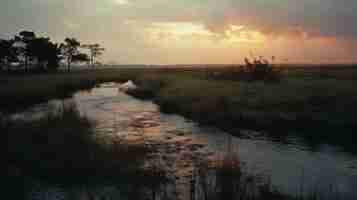 Photo sunrise over lowlying stream in sydney south africa