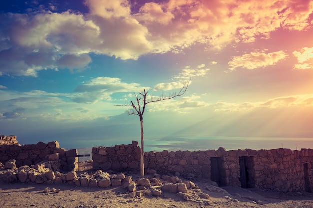 Sunrise over Masada fortress. Israel