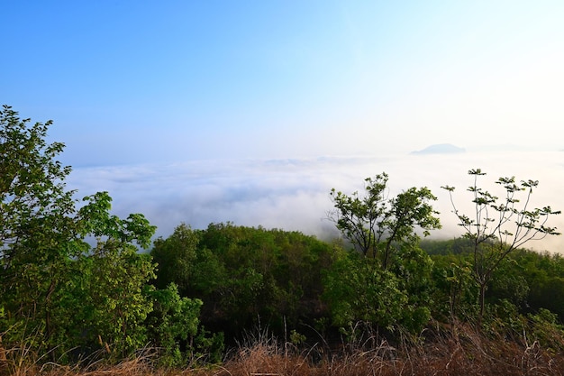写真 日の出霧カバー山の背景冬霧の美しい霧深い春の山の谷と背景の風景の森の霧の中の山々の朝の美しい景色