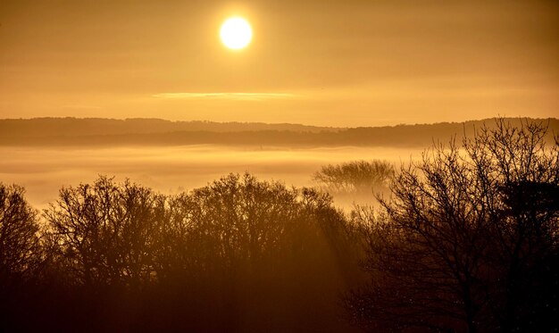 Foto l'alba sopra la nebbia