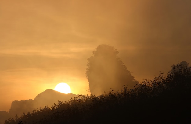 Alba nella nebbia