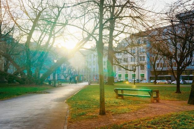 Sunrise in morning in Miklosicev park and Ljubljana old town street, Slovenia. Beautiful Slovenian nature in city parkland. Scenery and landmark. Urban green capital.