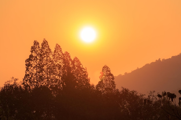 Sunrise over the mountains in summer