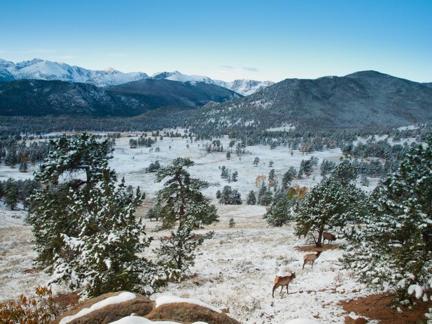 Sunrise over Rocky Mountain National Park, Colorado.