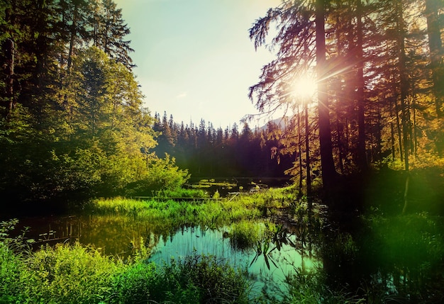 Sunrise scene on lake