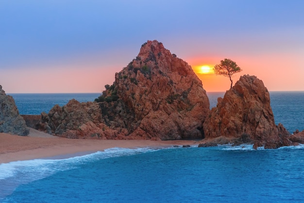 Sunrise over the sea and the beach in the foreground rocks and trees at gran platja beach and badia