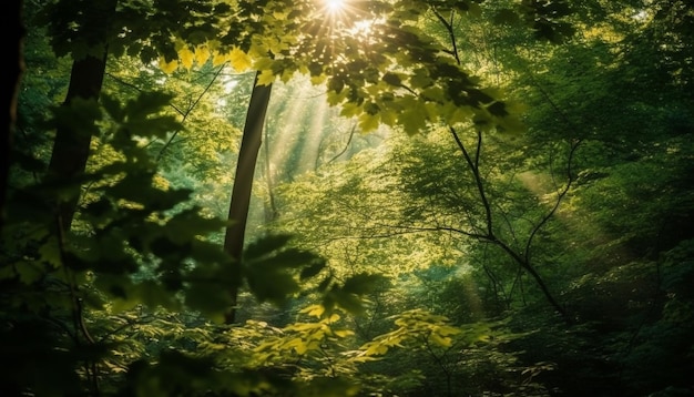 写真 aiが生成した鮮やかな森の自然美を照らす日の出