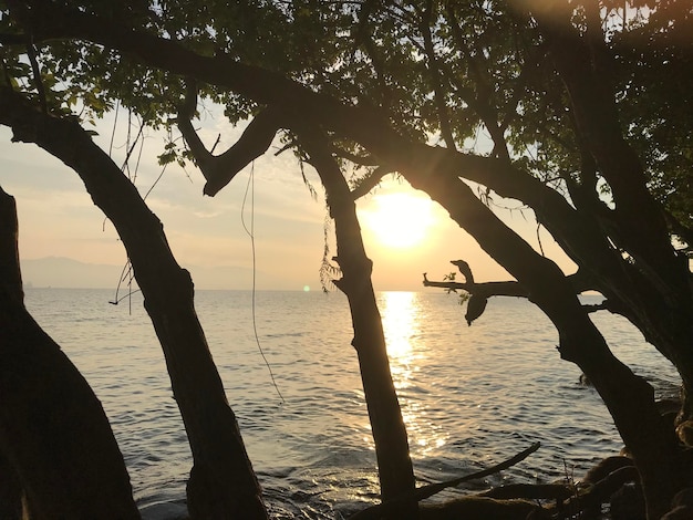 日の出の空の自然の海の風景