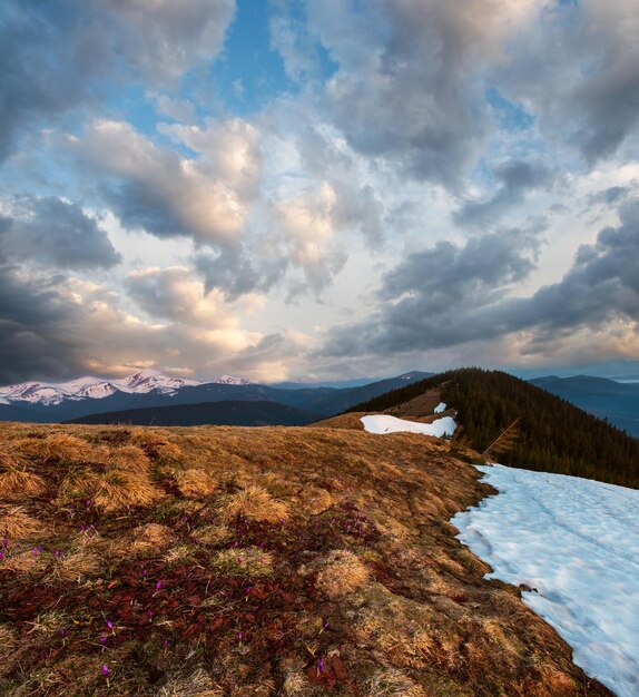 Sunrise spring Carpathian mountains