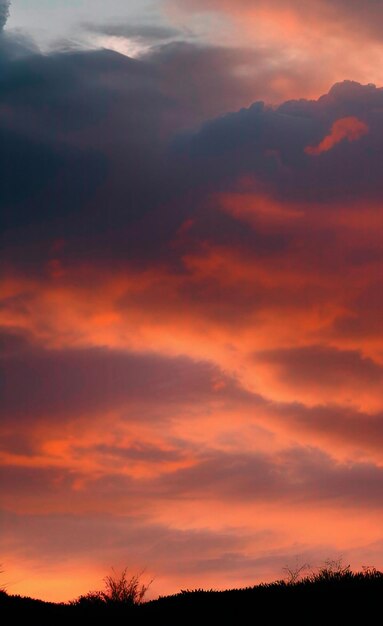 Foto priorità bassa della natura di tramonto di alba