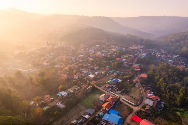 Sunrise over Thai tribe village in foggy with wild himalayan cherry tree blooming at Ban Rong Kla Thailand