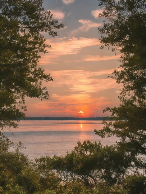 sunrise trees ocean lake