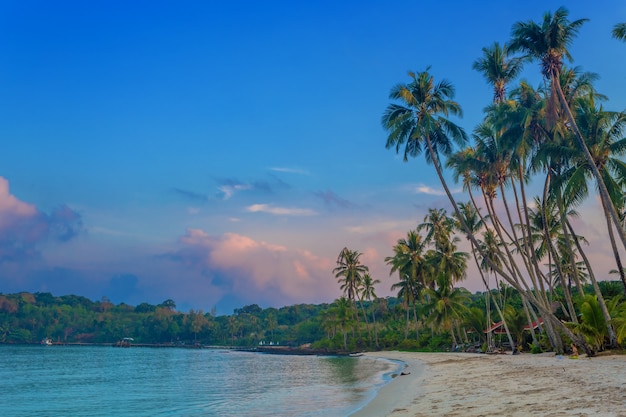 Sunrise on a tropical beach