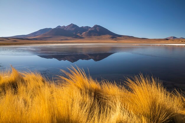 Photo sunrise view of laguna de canapa with flamingo bolivia altiplano