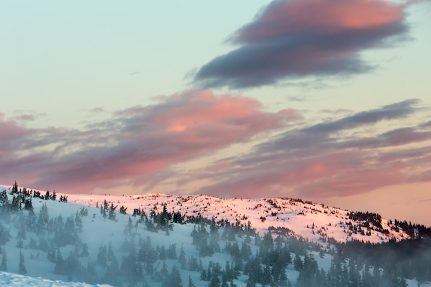 구름과 전나무가 슬로프(대로)에 있는 일출 겨울 산 풍경.