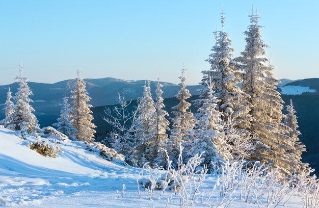 斜面に雪に覆われた木々と日の出と冬の山の風景