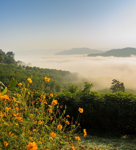 ノンカイ県、タイのメコン川の上の霧の海と日の出