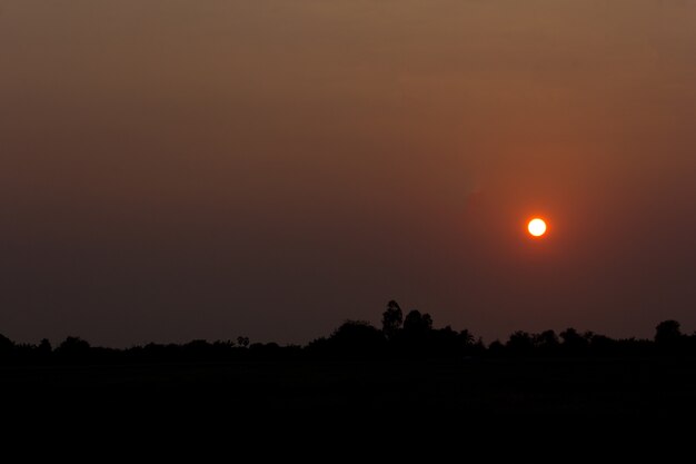 Photo sunrise  with silhouette trees. landscape.