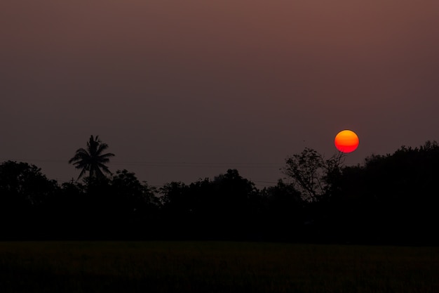 Photo sunrise with silhouette trees.