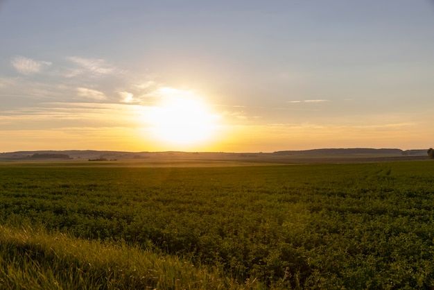 Tramonto su un campo agricolo in estate