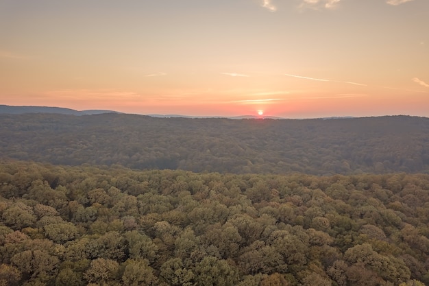 Sunset over Autumn forest. Aerial view autumn landscape