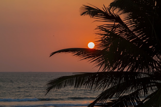 インド洋のほとりに沈む夕日