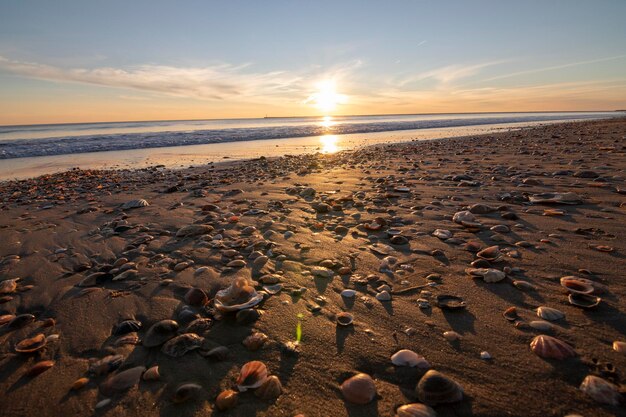 A sunset on the beach, full of shells on the shore.