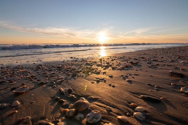 海岸の貝殻でいっぱいのビーチの夕日。