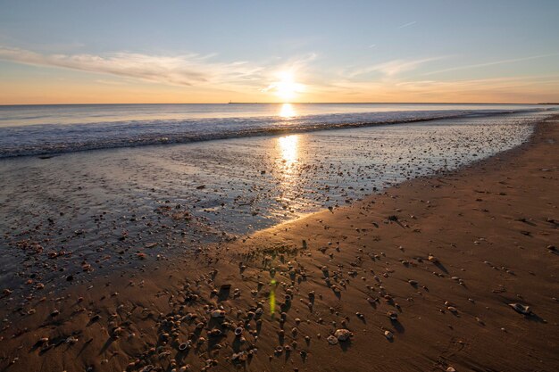 A sunset on the beach, full of shells on the shore.