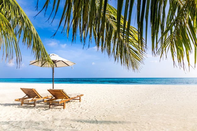 Sunset beach getaway couple destination scenic, honeymoon wallpaper. Palm tree idyllic sky sea sand