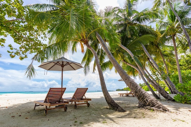 Sunset beach getaway couple destination scenic, honeymoon wallpaper. Palm tree idyllic sky sea sand