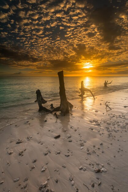 A sunset on the beach with a few people in the water