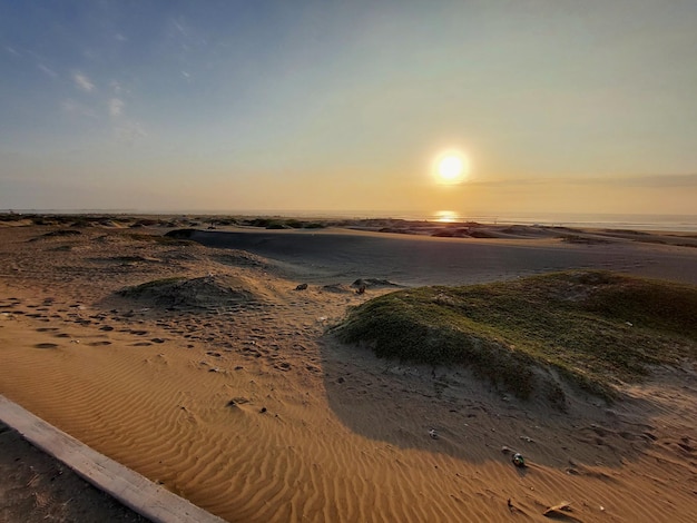 A sunset by the beach lookinf thru the dunes