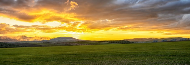 Photo sunset in the cereal fields of the geopark of granada