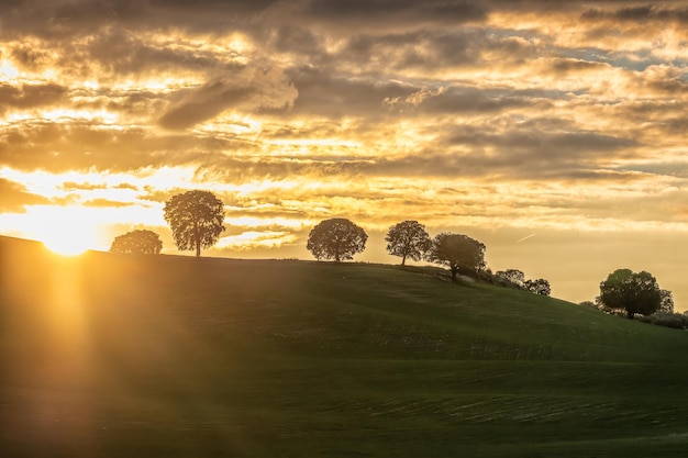 Sunset in the cereal fields of the Geopark of Granada