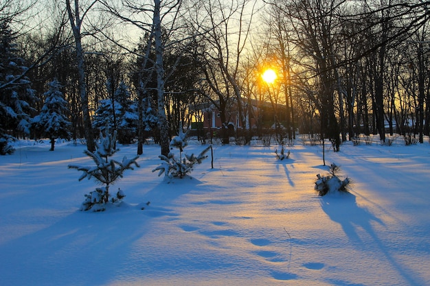 Sunset in the city park on winter