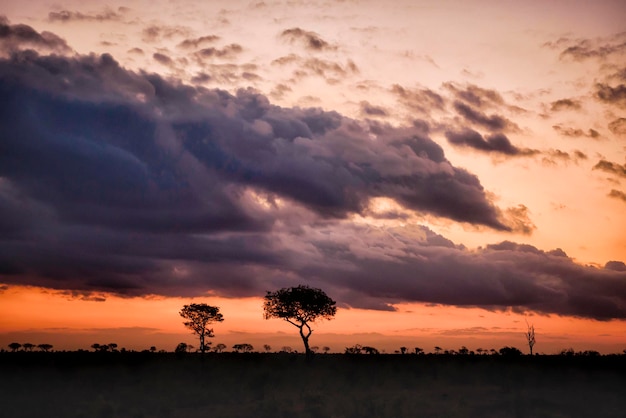 Закат в красочной африканской саванне с оранжевыми, охристыми тонами.