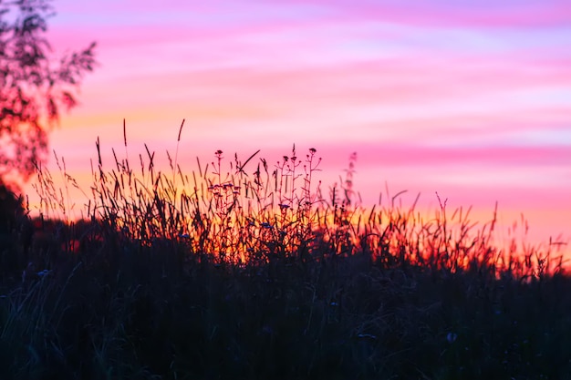 Photo sunset in the countryside summer evening bright sky