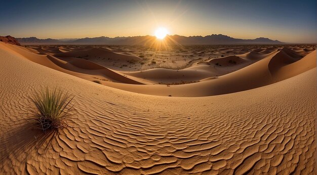 sunset in the desert panoramic desert scene sand in the desert landscape in the desert