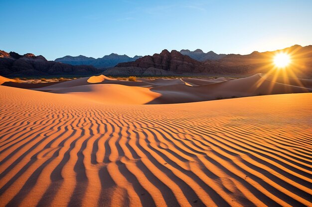 sunset in the desert