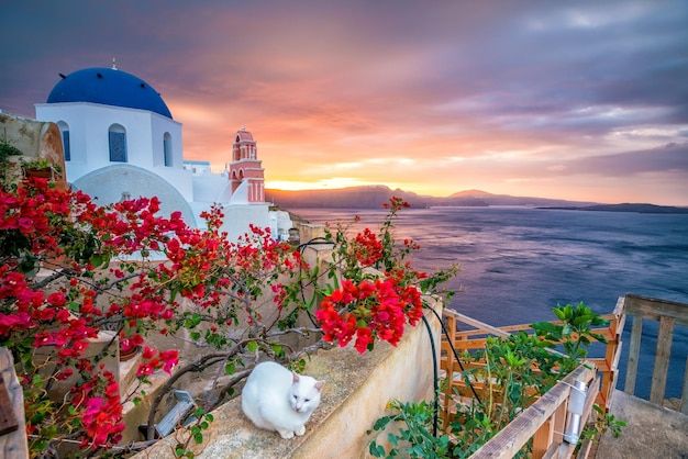 Sunset on the famous Oia city Greece Europe