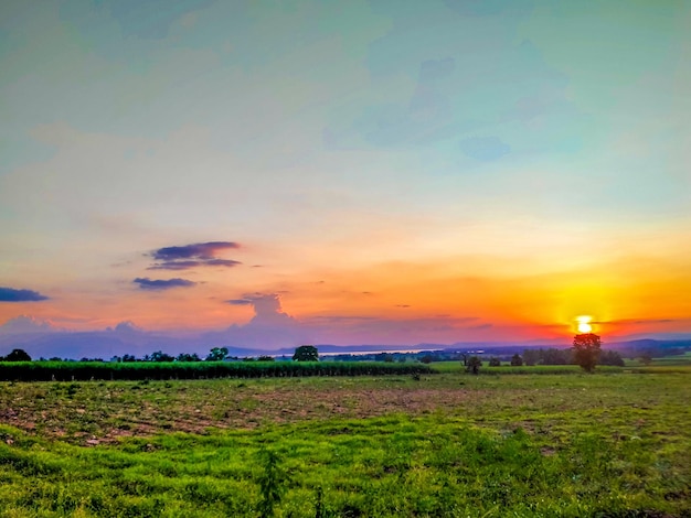 Sunset over a farm field Grass field and a tree with dramatic sky at sundown