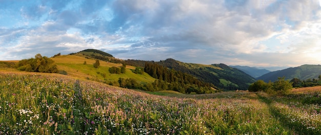 Sunset on the field in the Carpathians
