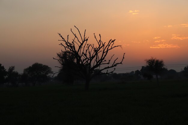 A sunset in the field of india