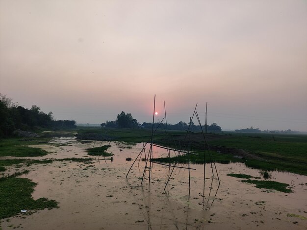 A sunset over a field of water with a small pole in the foreground