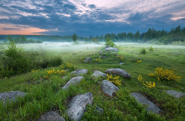 Sunset on the foggy meadow