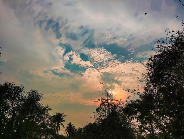 A sunset in the forest with a cloud in the sky