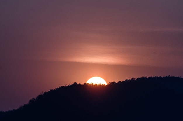 Sunset over forest