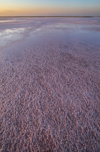 Sunset Genichesk pink salty lake Ukraine